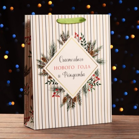 Laminated New Year and Christmas Package, 33 x 42 x 10 cm