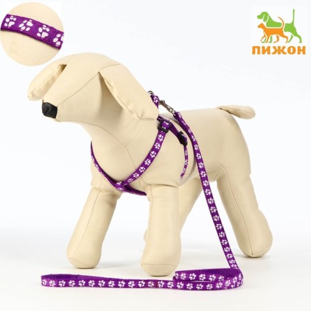 The set of stitched "paws", leash 120 x 1 cm, OG 23-35 cm, purple