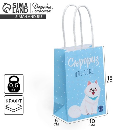 Gift Craft Package, Packaging, “Surprise for You”, 15 x 10 x 6 cm