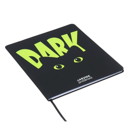Universal diary for grade 1-11 Dark, integral cover, artificial leather, silkography, liesse, 80 g/m2-1