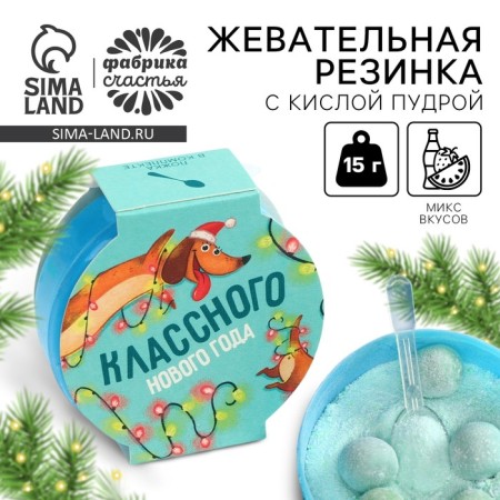 New Year! Chewing gum with sour powder "Class New Year", 15 g