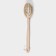 Massage brush for the body of the share, with a handle and a massage, natural bristles