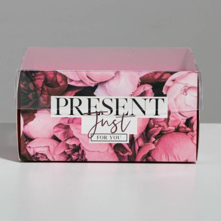 Bearbox under the gentor with PVC lid, confectionery packaging "Present", 12 x 6 x 11.5 cm-1