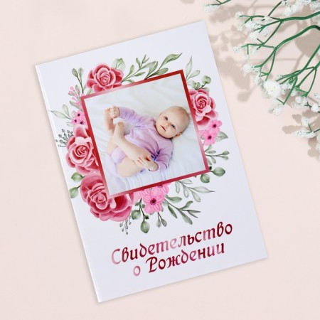 Folder for the birth certificate of "rose" girl, a5