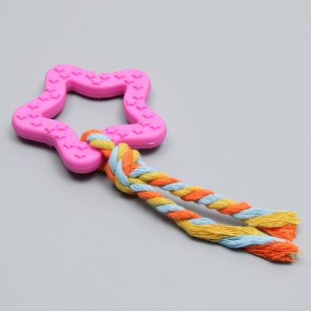 Chewing toy with a rope "Star with a tail", pink-2