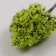 Artificial plant for creativity plastic "Platan" 8 cm