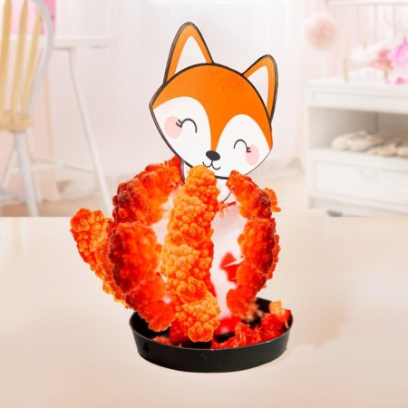 Set for experiments "Wonderful Crystals", Fox-1