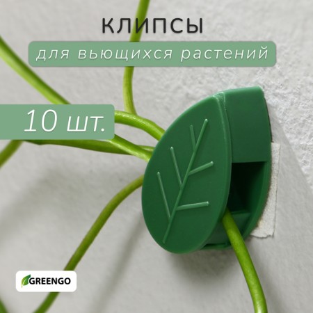 Mounts for climbing plants, 3*2.1 cm sheet (set10 pcs) self -adhesive