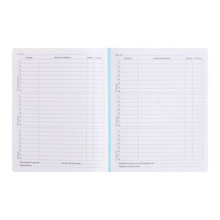 Diary Artificial leather 1-11 grade, 48 sheets, cage, hard cover, my choice. No. 9, foil embossing, rounded corners, lies, block 70g/m²-6