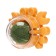 A toy for cats with cat mint "crab", 6.8 cm, yellow