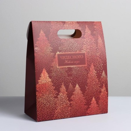 A package with a valve "Wonderful New Year", 26 x32 x12 cm, New Year