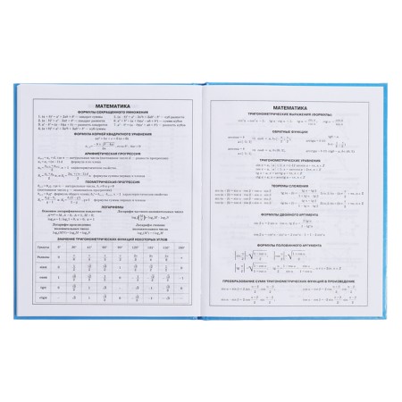 Diary for grades 5-11, 48 sheets of Kapibar Kapibarov, hard cover, glossy lamination, block 60 g/m2-13