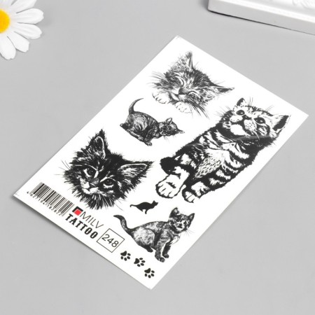 Tattoo on the body "kittens of h/b" 10x15 cm-1