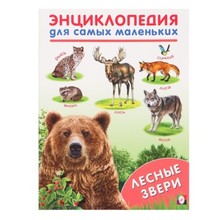 Encyclopedia for the smallest "Forest animals"