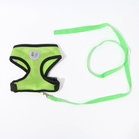 Drinking harness with a leash and reflective patch, s, ok 27, og 30-38, green-3