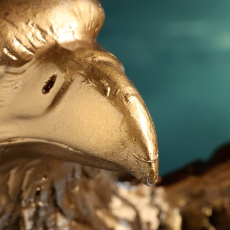 Figure "Eagle Big with Wings" Bronze, 52x37x57cm-3