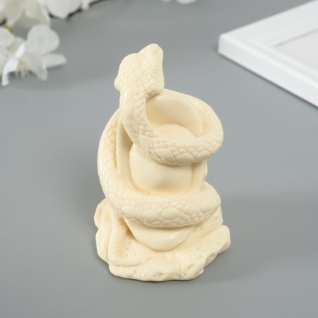 Molds Silicon "Snake. I knocked wisdom." 8.5x6.5x5.5 cm-3