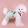 Complex-stations for dogs, size XL (DS 44, from 48 cm), mint