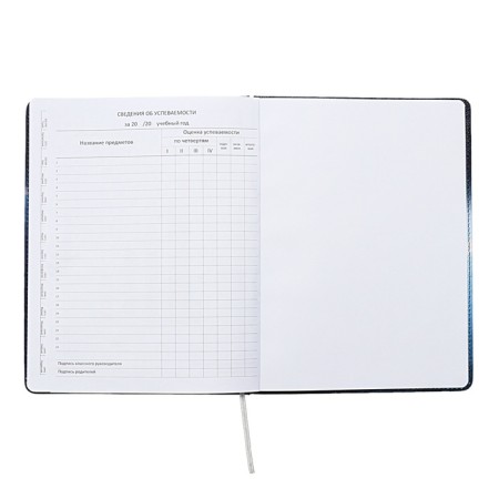 Universal diary for grade 1-11 Football Time, solid cover, artificial leather, foam rubber, liesse, 80 g/m2-13