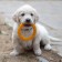 Toy floating for dogs "thorns" Pizhon Premium, foamed TPR, 11 cm, yellow