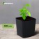 Pot for seedlings, 300 ml, d = 7 cm, h = 7 cm, black, Greengo