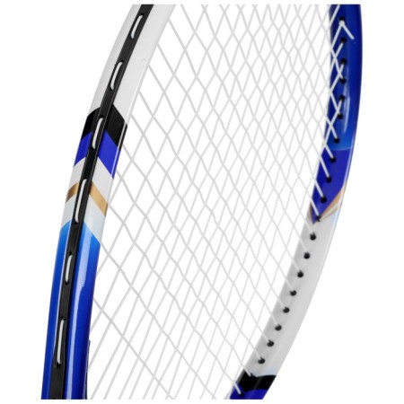 Big tennis racket training, in a case, blue color-4