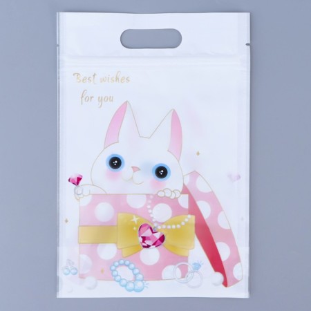 Gift package, with zip-lock fastener, "Cute cats", 15x23 ± 1cm-1
