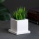 Figure Kashpo "Cube with Podon" white 0 25 l/ 8x6x6cm