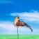 Plug for indoor plants "Bird" 3x3cm, 8cm mix / packing 12pcs, price per pcs