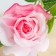 Artificial flowers "Rose Gloria" 8x48 cm, pink