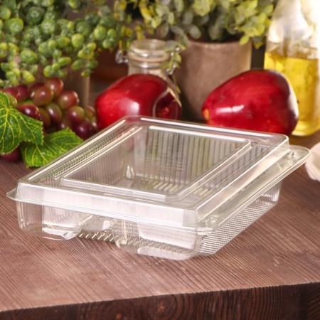 A disposable container with an insoluble lid pr-K-25s4, 26.5 × 19.3 × 6.8 cm, the color is transparent