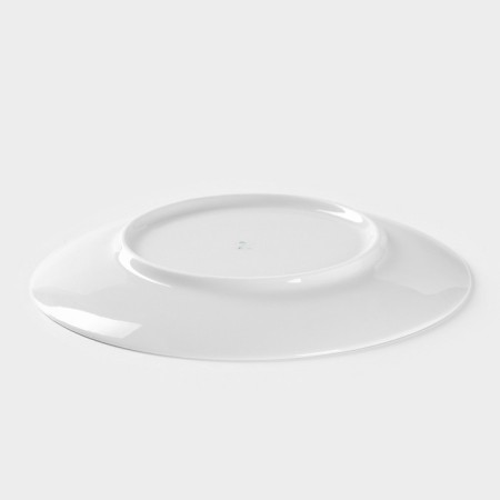 Porcelain plate "Botanika. Mint ", d = 20 cm-2