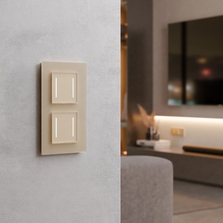 Smart sensor switch Two -clavy (champagne) W4523011-1