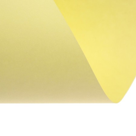 Color paper A4 250l Calligrata Pastel + intensive mix 10 -cv 80g/m2, barn-6