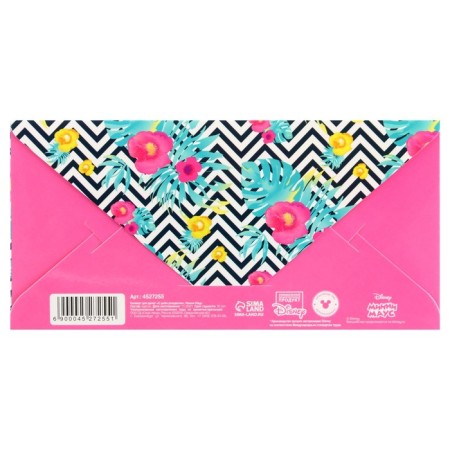 Money envelope, 16.5x8 cm "Happy Birthday", Minnie Mouse-1