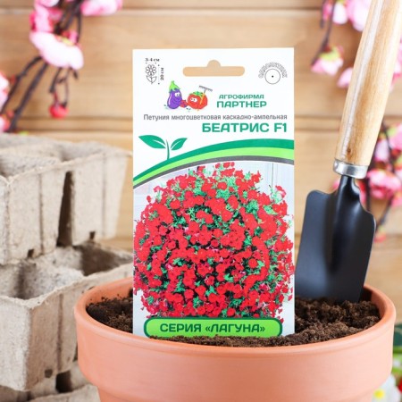 Petunia flowers "Beatrice", F1, cascading, mini red, 5 pcs