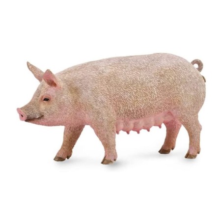 Detailed figure "Pig", m