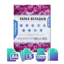 A4, 180 μm, calligrata, PVC, reinforced, with extension, matte, 5 pieces
