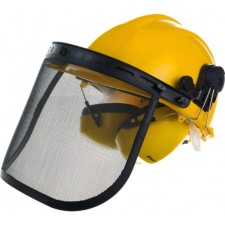 Protective helmet Champion C1001, shield, headphones, headphones