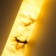 Suspended lamp Marbella IP20 LED 21W 3000/4000