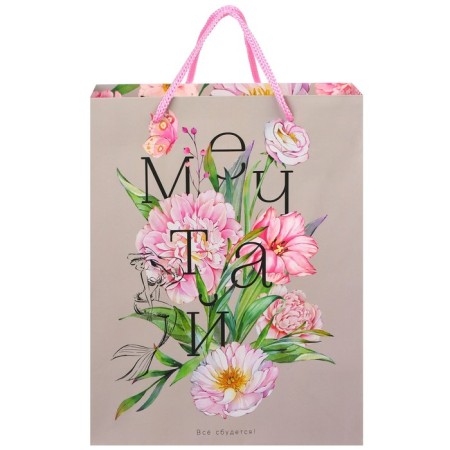 Gift package "Dream" 18x23x10 cm, packaging, princesses-1
