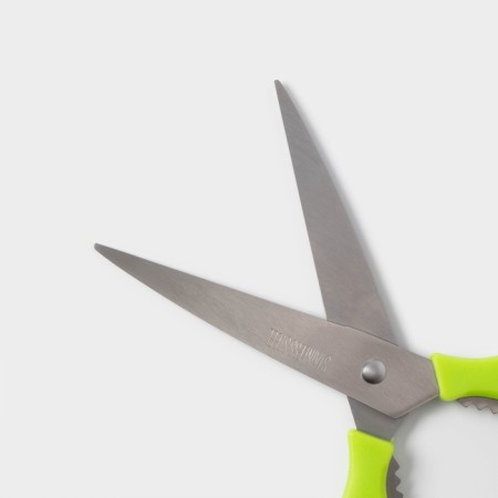 Scissors kitchen shares "Simon", 23 cm, color mix-2
