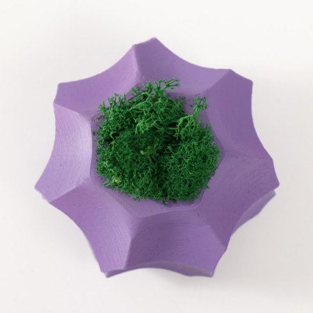 Concrete Kashpo "boundaries" with moss purple 8x8x5cm (moss green stabilized)-3