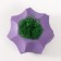 Concrete Kashpo "boundaries" with moss purple 8x8x5cm (moss green stabilized)
