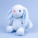 Napchik children with a soft toy "Bunny", mix