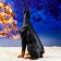 Garden figure "Doberman dog" Big sits 20*21*48 cm