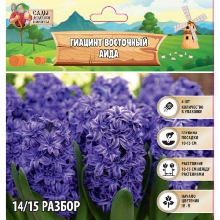 Hyacinth East AIDA, rr 14/15, 4 pcs, autumn 2024