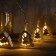 Garland “thread” 2.5 m with nozzles “Christmas tree”, ip20, transparent thread, 10 LED, glow warm white, AAH2