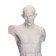 Anatomical gypsum figure: Goidon torso, 12 x 15 x 48 cm