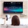 LED TV BQ 32FS40B Black (RF)